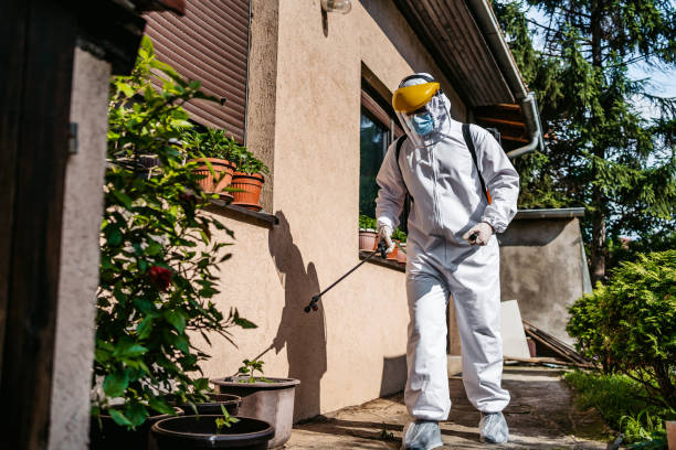 Best Insect Control  in Poulsbo, WA