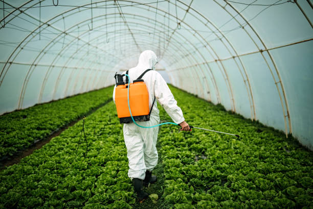 Best Pest Control Near Me  in Poulsbo, WA