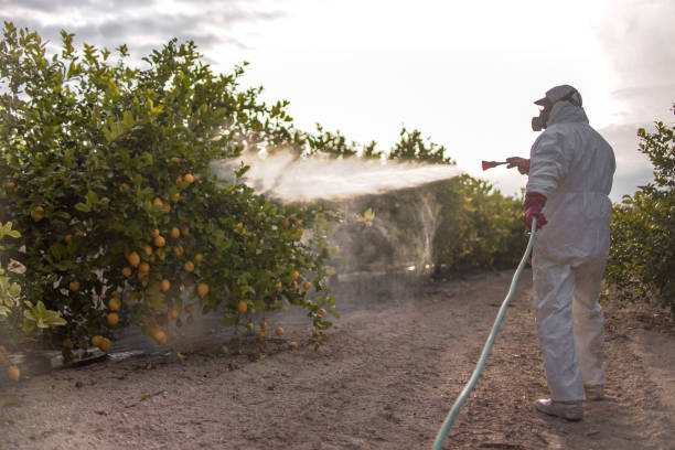 Best Pest Removal Services  in Poulsbo, WA